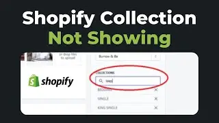 Why My Shopify Collection is Not Showing? Fixed Solution ✅