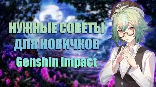 Очень Важные Советы Для Новичков в Genshin Impact