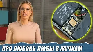 Как охотиться на Соболь с помощью жучка за 700 рублей