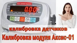 Калибровка датчиков на весах модуля Аксис-01🔧