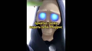 Кот потерял ещё одну жизнь😥 