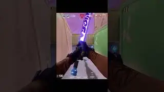 Sorry Little Guys 