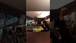 Безумие фанатов на стадионе 