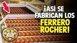 ¿Cómo Se Hacen Los Ferrero Rocher? [Proceso En Fábrica]