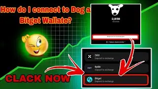 HOW DO I CONNECT TO DOG BITGET WALLATE ||  DOG TOKEN CLAIM PROSES ||@hicryptoearn