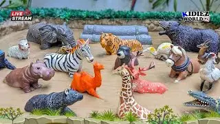 African Elephant & Bear Meet Zoo Animals Stuck in Mud | Kids Live Video by Kidiez World TV