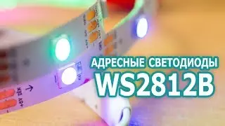 Как подключить адресные светодиоды WS2812B к Arduino