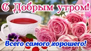 Хорошего утра! ☕️ Доброго дня! 🌺  Замечательного настроения! 👌🤗 Музыкальная открытка