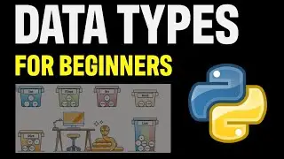 Python Data Types. Beginner's Guide to Understanding Why They Exist