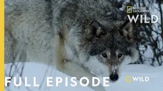 Land of Ice and Snow (Full Episode) | Wild Nordic