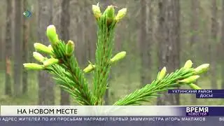 На новом месте