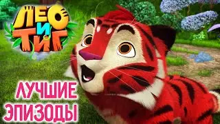 Лео и Тиг 🦁🐯 Лучшие эпизоды —ТОП 10 ✨️ Коллекция эпизодов ⭐ Мультсериал для детей 🌟 Мультики