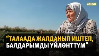 "Жалданма жумуш менен жан багабыз" | ДАНИСТЕ