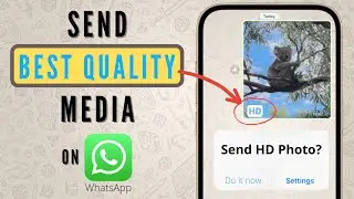 How to Send HD Photos and Videos in WhatsApp (High Quality)