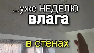...казеин и крахмал - ГРЕМУЧАЯ СМЕСЬ для ЧЕРНОЙ ПЛЕСЕНИ! Минуем их при  ВНУТРЕННЕЙ отделке.