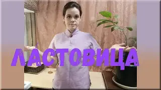 Ластовица, Цельнокроеный рукав. Просто понять, начертить.