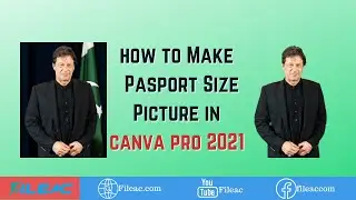 How to Make Passport Size picture in Canva Pro 2021 (Urdu) | FileAC