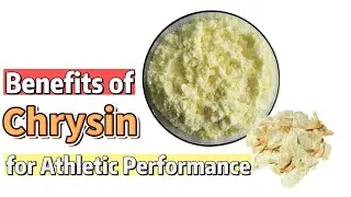 Benefits of Chrysin for Athletic Performance | Oroxylum Indicum P.E. Chrysin manufacturer & supplier