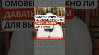 5.36 Если испортил омовение, нужно ли давать таслим для выхода из намаза? #Shorts Ринат Абу Мухаммад