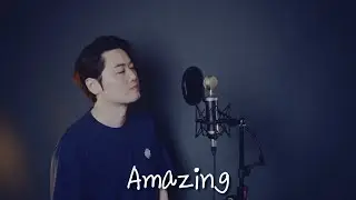 Aerosmith - Amazing (cover by Bsco)