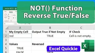 NOT() Function in Excel - Reversing True/False - Excel Quickie 61