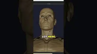 blender 2 8 creating a skin bust