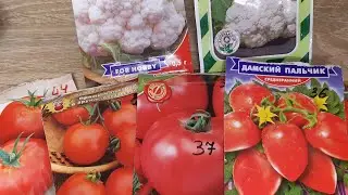 УРА ВЕСНА!!!Томаты и цветная капуста для открытого грунта.