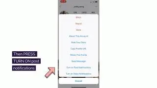 How To Turn On Instagram Post & Stories Notifications On An iPhone