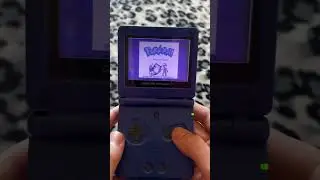 I Bought a FAKE Copy of Pokémon Blue!