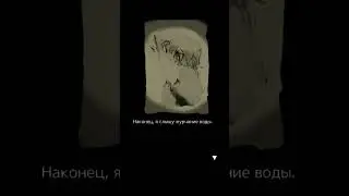 видео с палитрой смерти