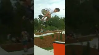 The 