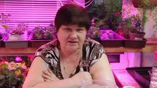 ВАЖНОЕ ОБЪЯВЛЕНИЕ! ПОЖАЛУЙСТА, ПОСМОТРИТЕ. ГДЕ МЕНЯ ИСКАТЬ.