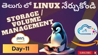 Day-11 [TELUGU] Storage/Volumes Management in Amazon Linux 2