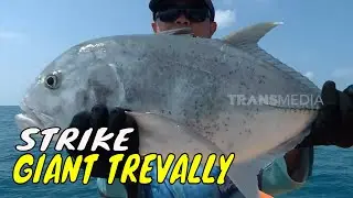 Battle Fishing Trevally di Perairan Belitung | MANCING MANIA STRIKE BACK (13/03/24) Part 1