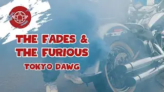 The Fades & The Furious: Tokyo Dawg  - Denim Dawg In Japan 🇯🇵