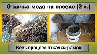Откачка меда ☆ Весь процесс откачки рамок электромедогонкой [2 ч.]