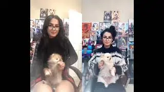 Sssniperwolf loves 8 inches or more