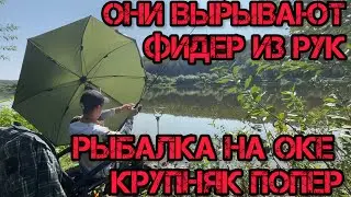 РЫБАЛКА на ОКЕ ОНИ ВЫРЫВАЮТ фидер ИЗ РУК КРУПНЯК ПОШЁЛ