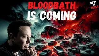 A “bloodbath” is coming! - VW is collapsing - NEW Aid is inbound - Too BIG to Change?