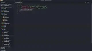 Test A Next JS App With Cypress #3: Configure Cypress.json File