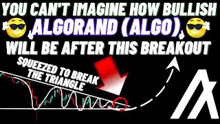 You Cant Imagine How Bullish Algorand (ALGO) Will Be After This Breakout