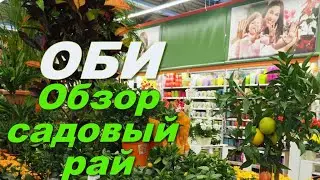 ⚡️ОБИ! OBI ☀️ Клематисы! ЛИЛИИ! Ирисы! Обзор февральских полочек.