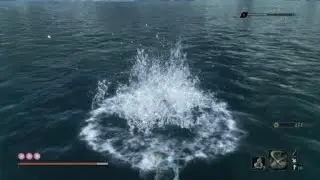 Sekiro Flying Glitch