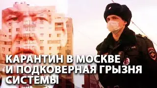 Карантин в Москве и подковерная грызня системы