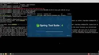 Create Spring Boot Web project with Spring Tool Suite (in docker)