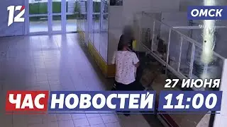 Похитители сыра / Обращение Владимира Путина / Герой нашего времени. Новости Омска