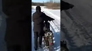 Диб доб
