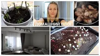 ДОМАШНИЙ ВЛОГ! УБИРАЕМСЯ! ГОТОВИМ! ШОКОЛАДНЫЙ ПИРОГ! 3 ПРОСТЫХ УЖИНА ИЗ КУРИЦЫ! УКОРЕНИЛА РОЗУ!