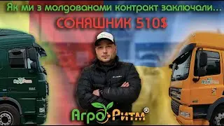 ❗СОНЯШНИК 510$❗ ЕКСПОРТУВАТИ ПРОСТО:ВЛАСНИЙ ЕКСПОРТ СОНЯШНИКУ В МОЛДОВУ.