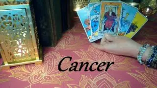 Cancer ❤ They Know What They Want . . . YOU! FUTURE LOVE May 2024 
